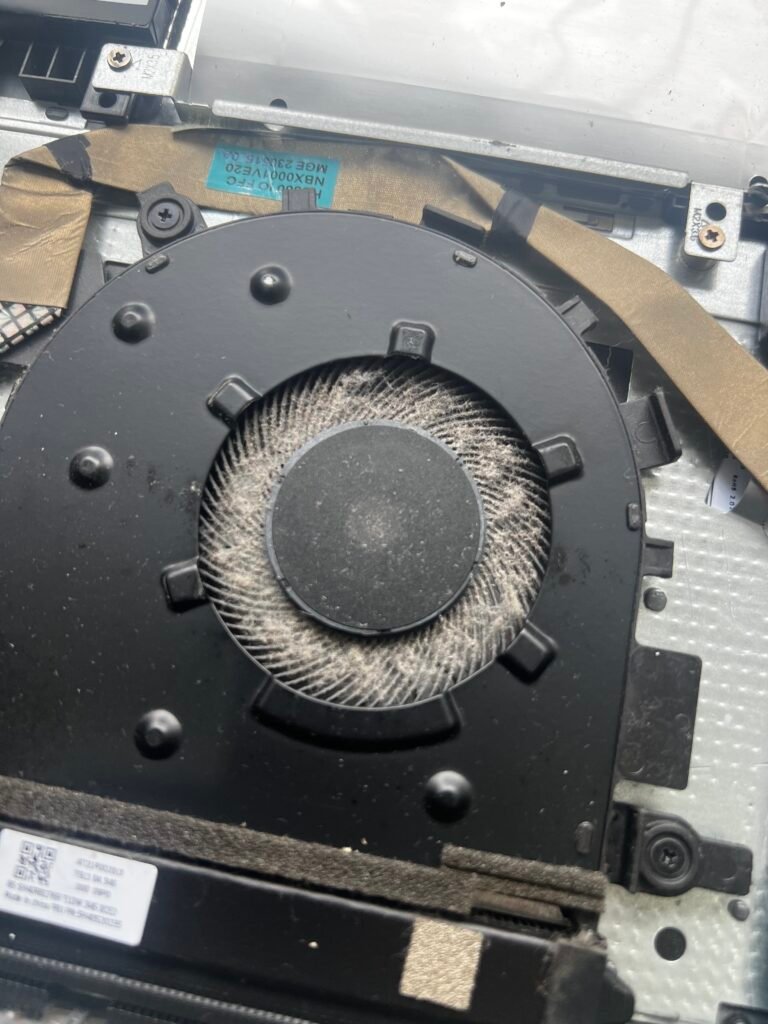IMG 0805 768x1024